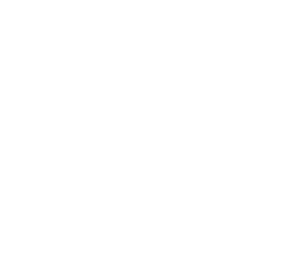 BILLI COMPANY WORLDWIDE